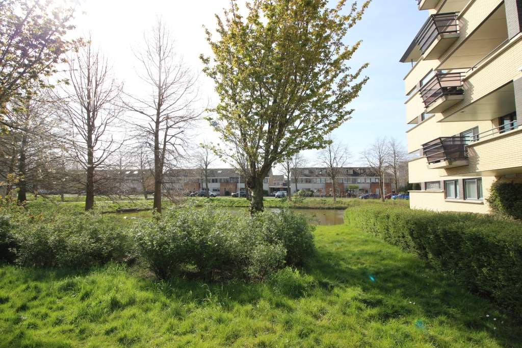 Image 28 of 29