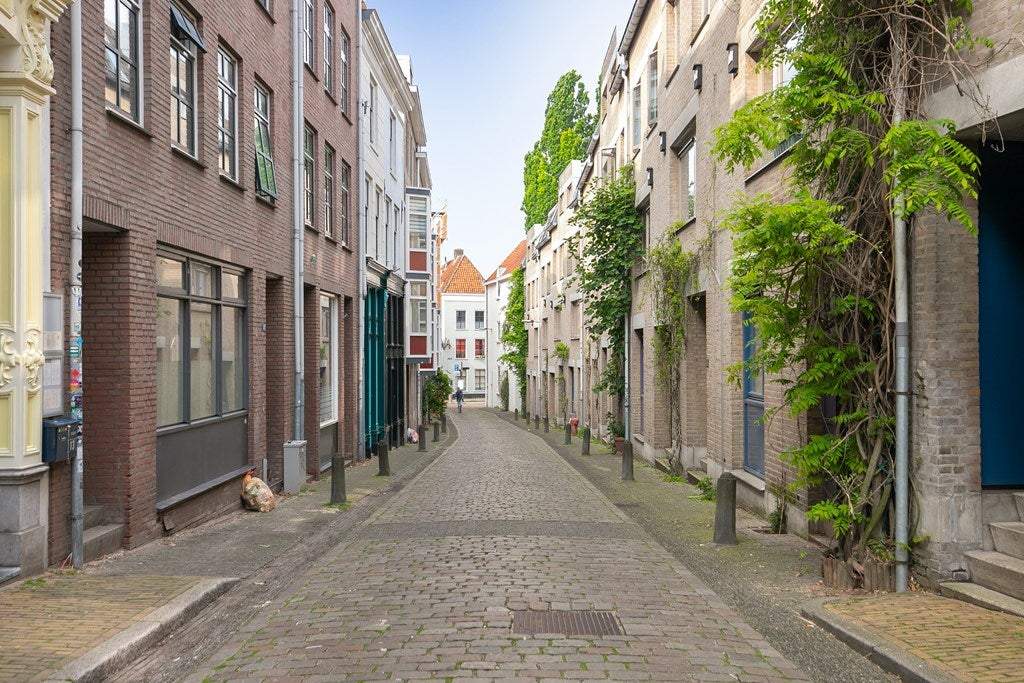 Afbeelding 13 van 15