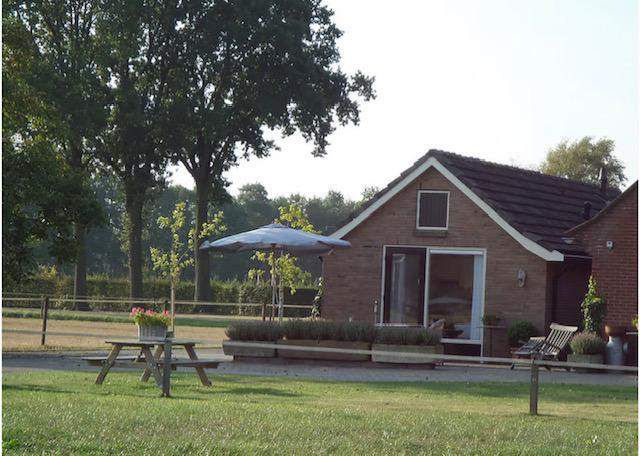 Afbeelding 1 van 7