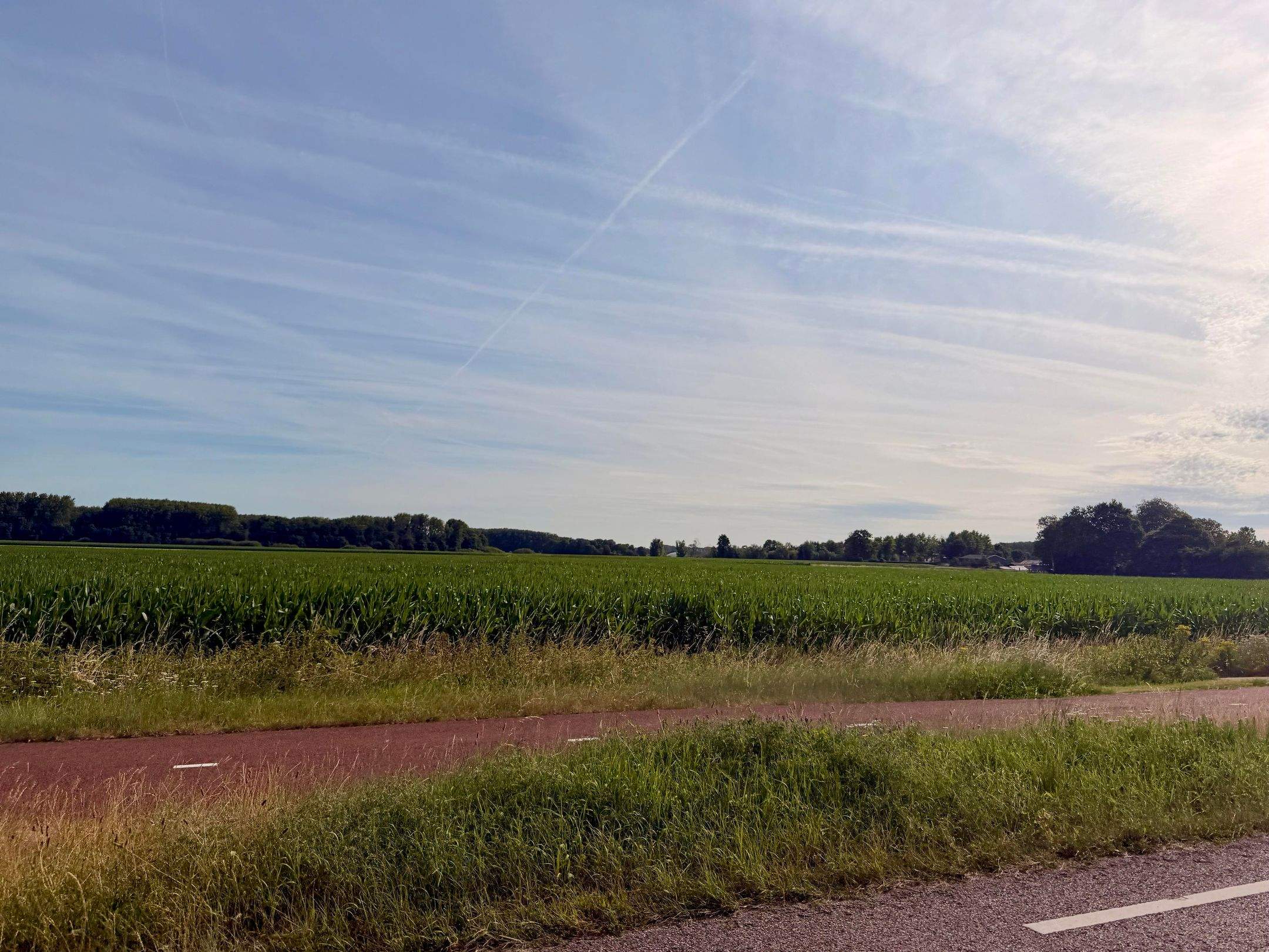 Bild 18 von 18