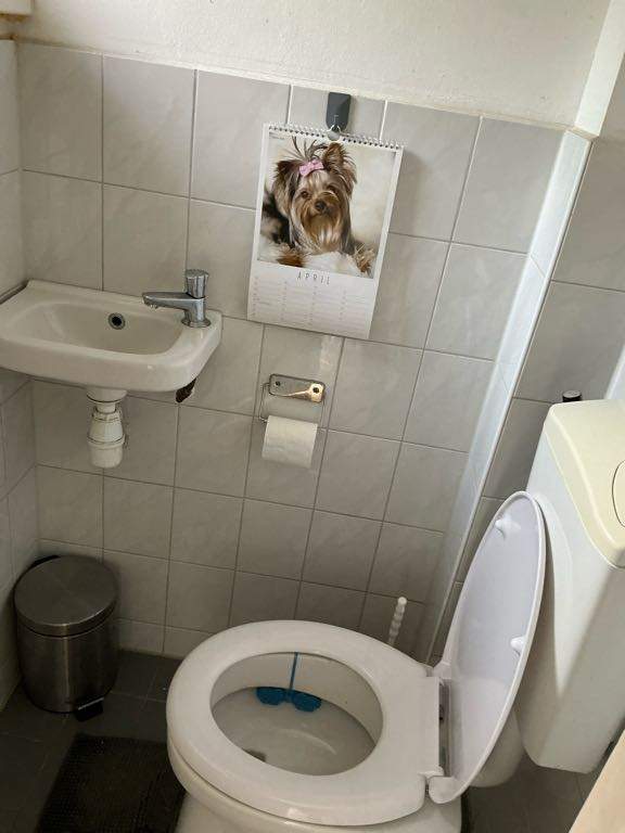 Bild 1 von 9