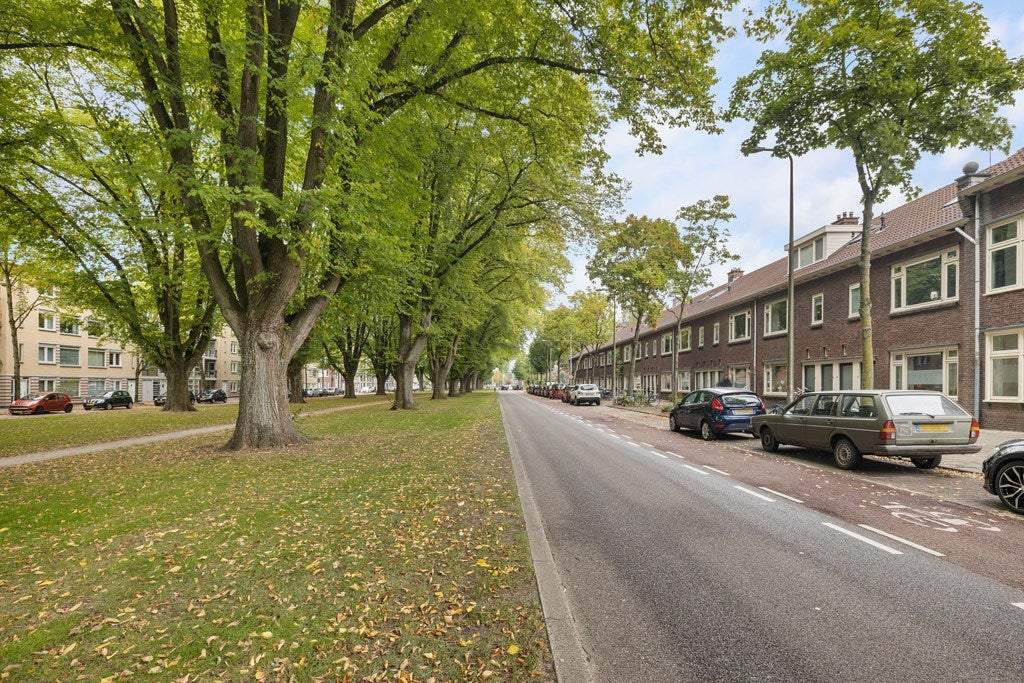 Afbeelding 1 van 17