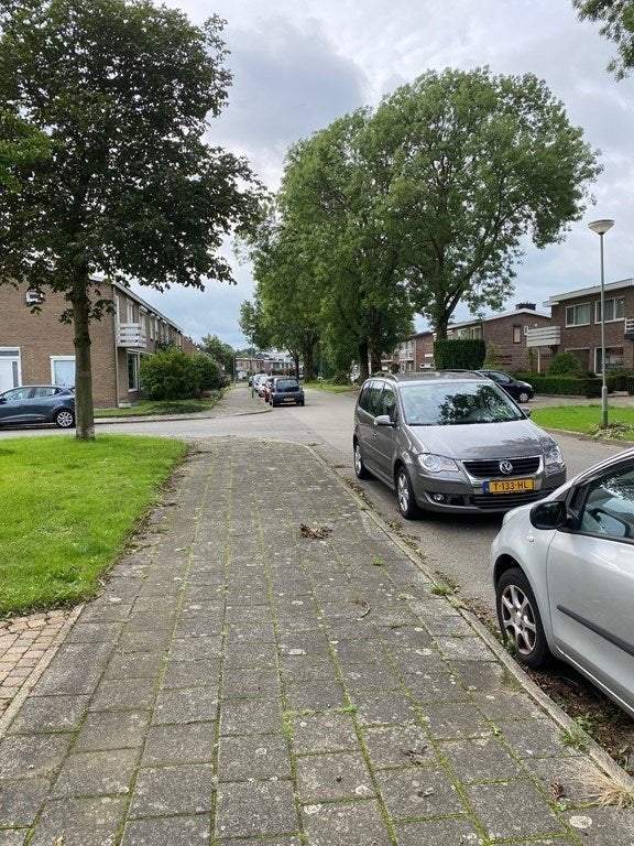 Afbeelding 3 van 20