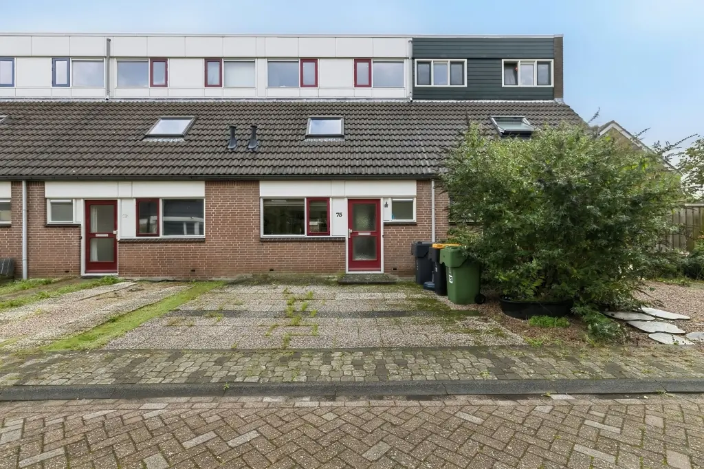 Afbeelding 1 van 30