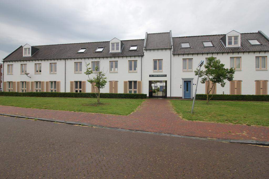 Afbeelding 1 van 16