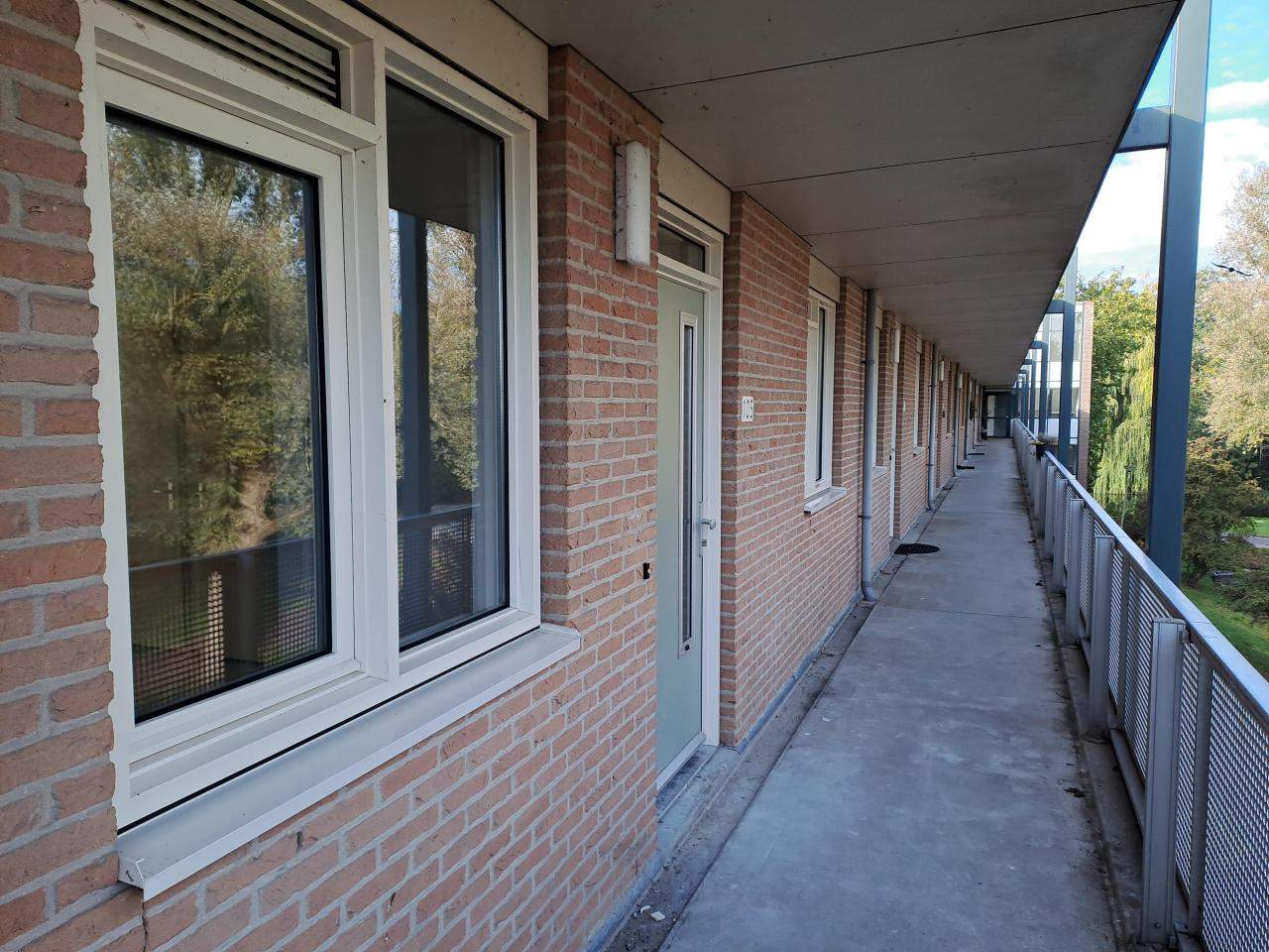 Afbeelding 5 van 9
