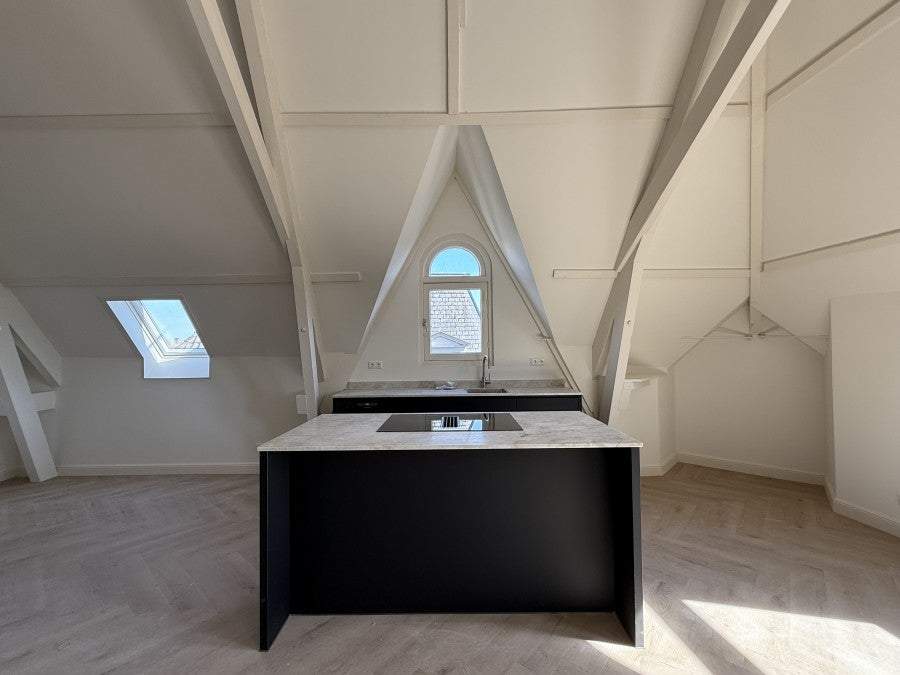 Bild 3 von 12