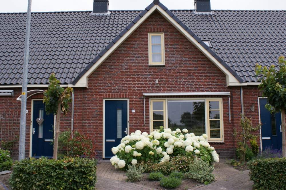 Afbeelding 1 van 1