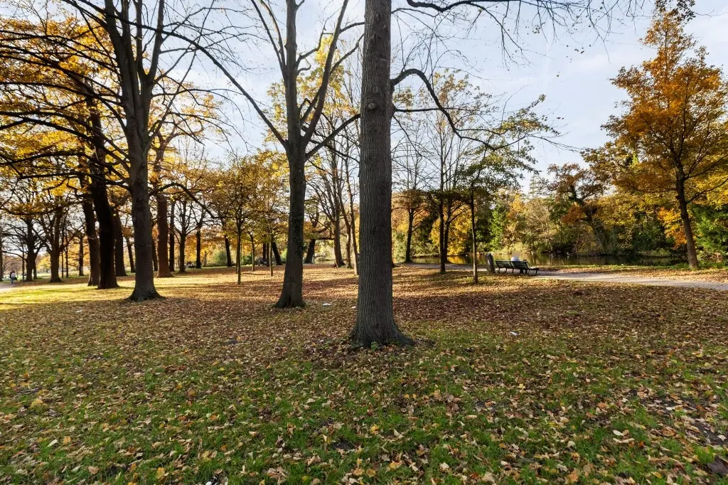 Image 36 of 39