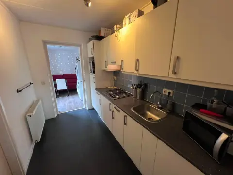 Habitación Jadestraat, Groninga - En alquiler