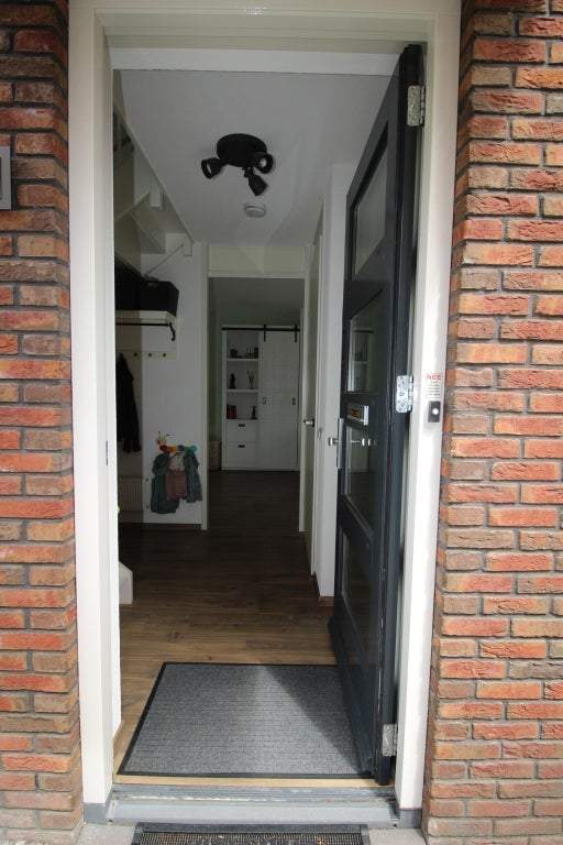 Afbeelding 3 van 31