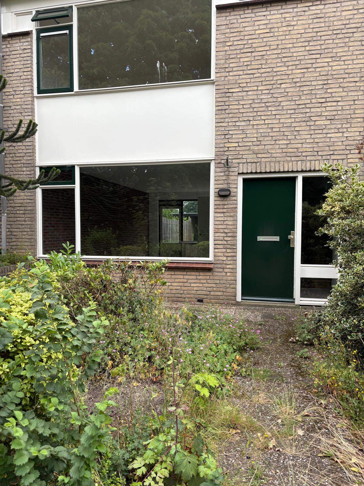 Bild 2 von 12