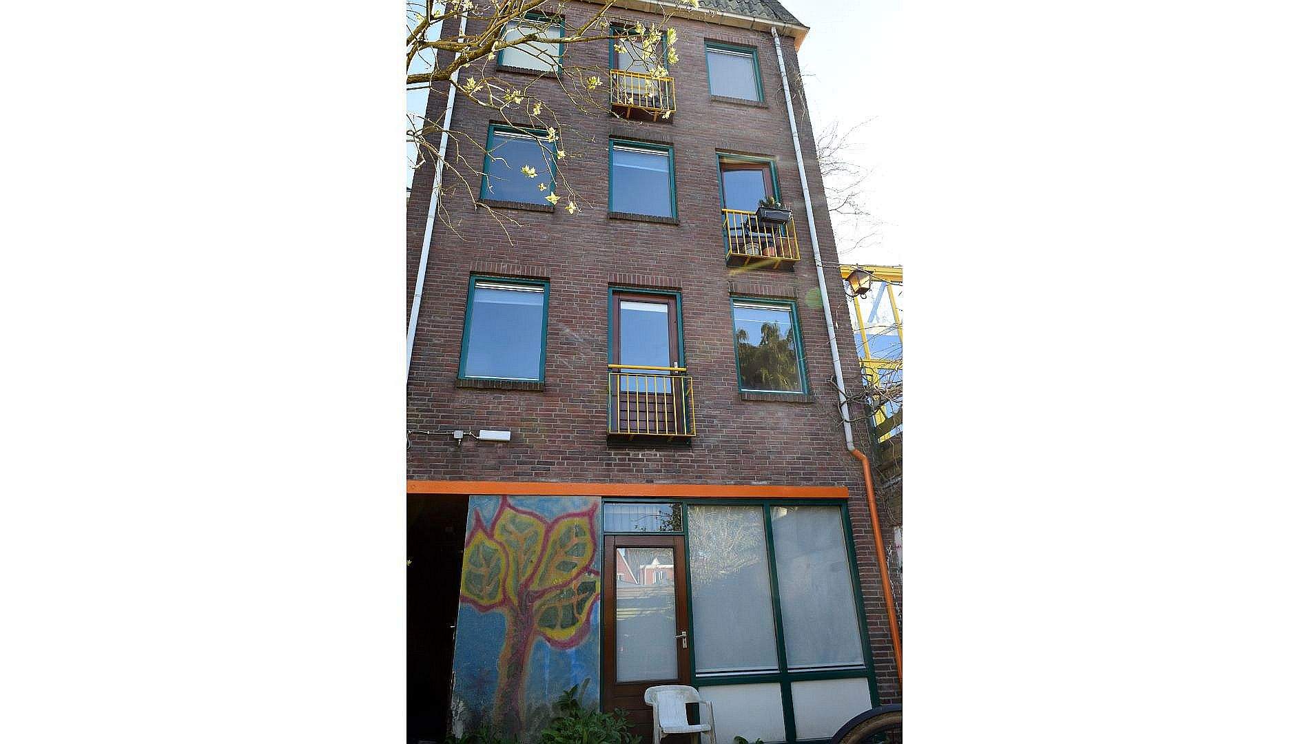 Afbeelding 1 van 3