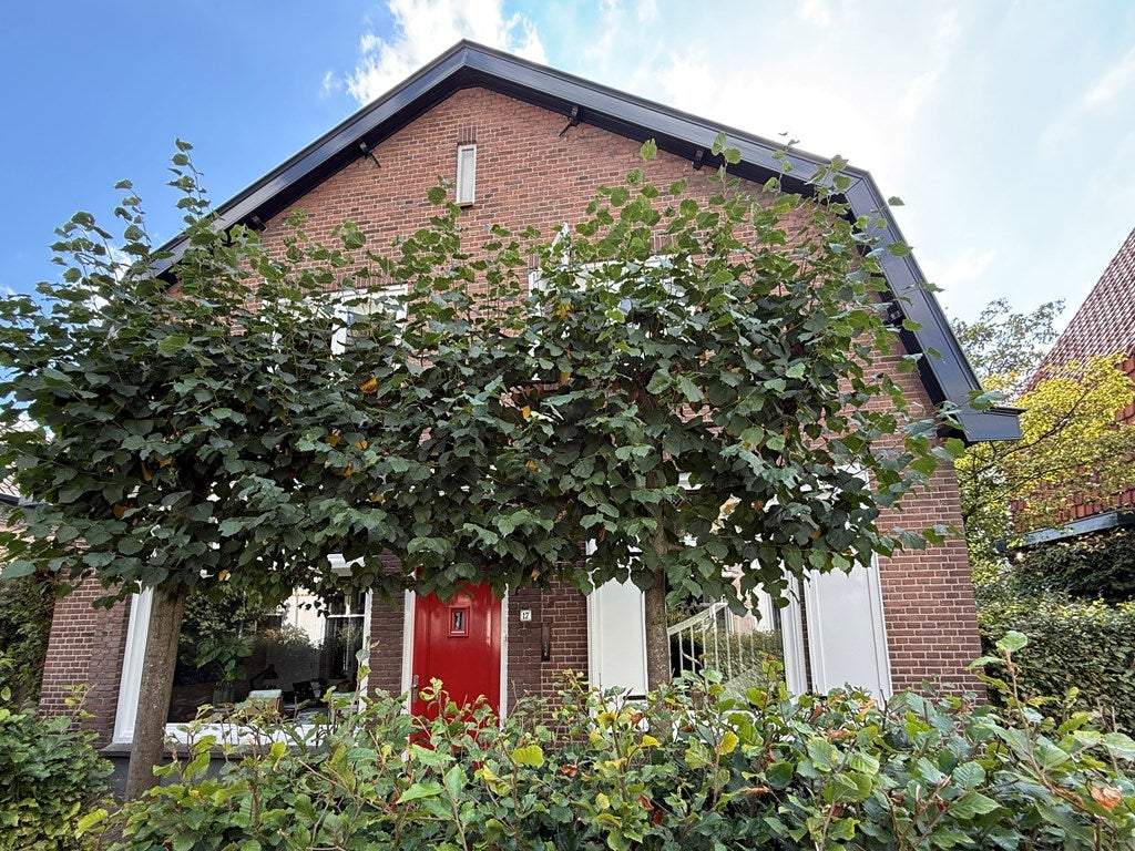 Afbeelding 1 van 37
