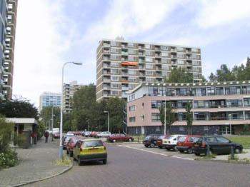Afbeelding 1 van 3