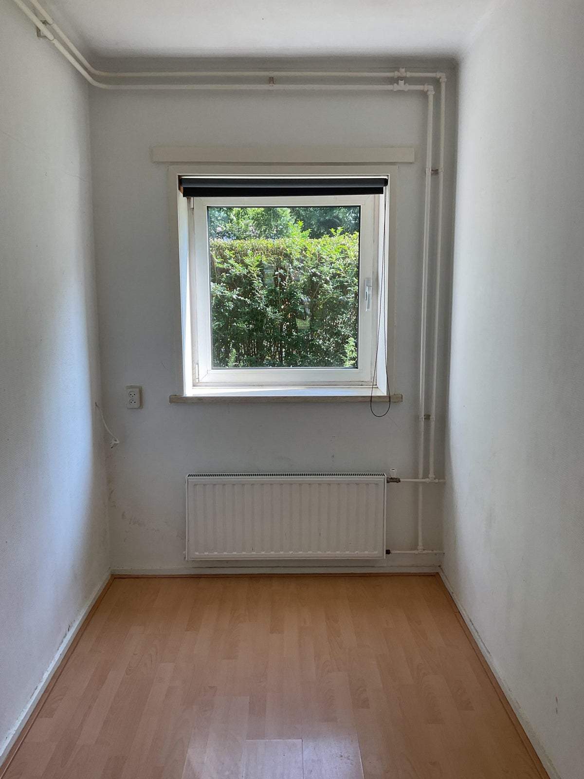 Bild 2 von 8