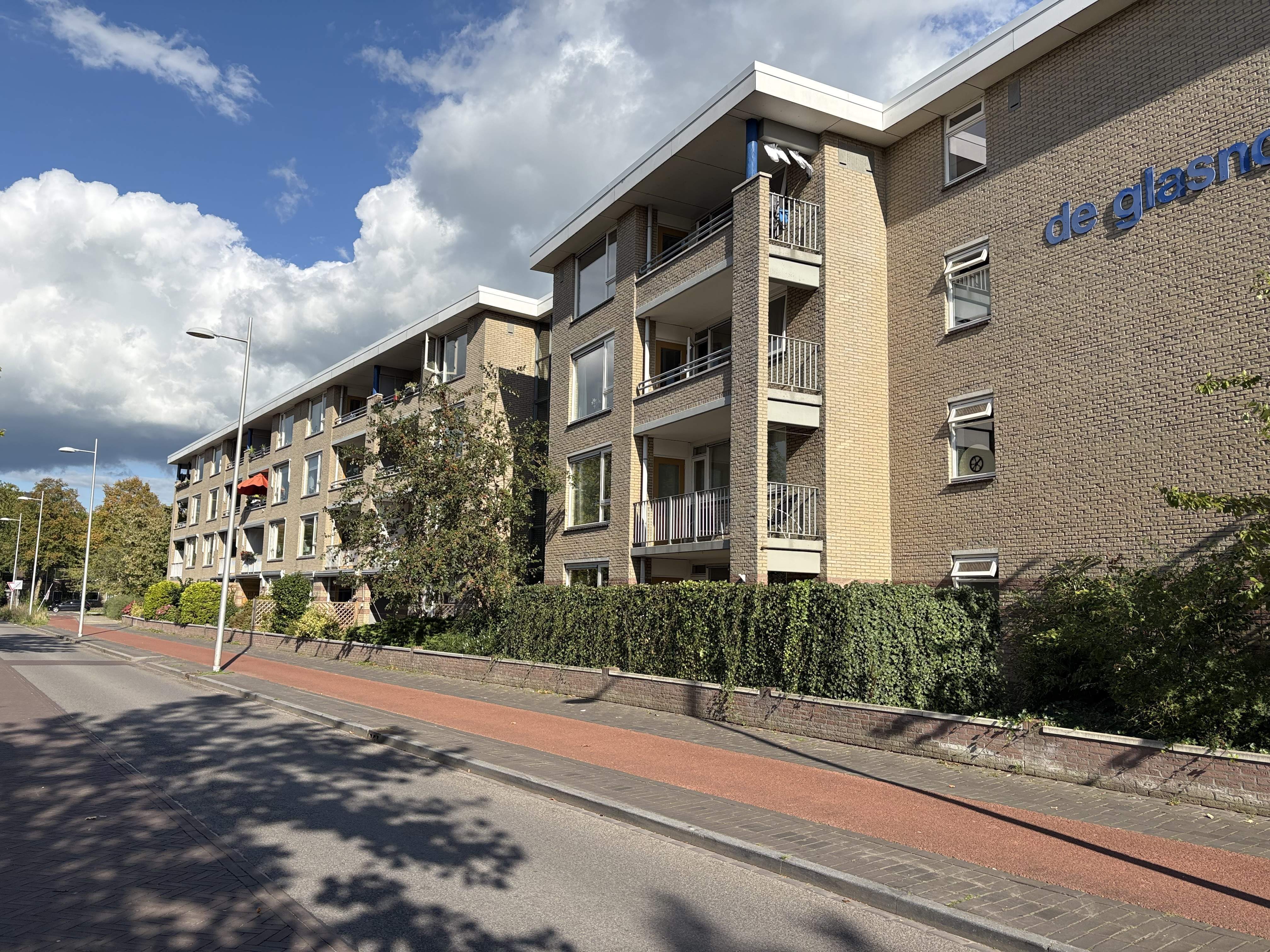 Afbeelding 1 van 8