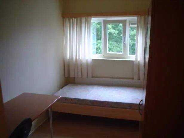 Bild 3 von 3