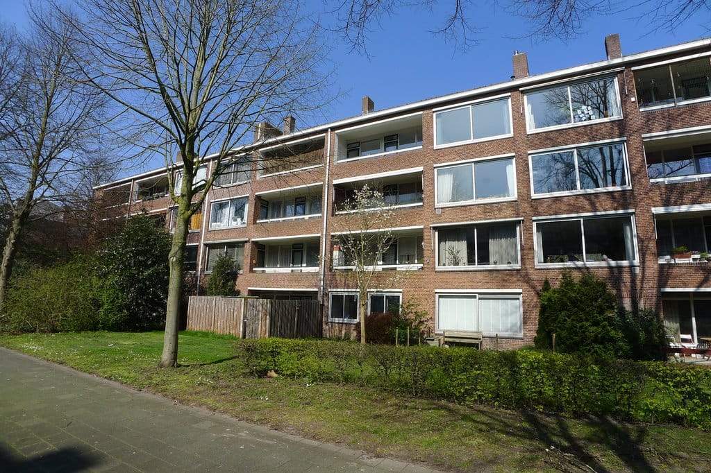 Afbeelding 2 van 12