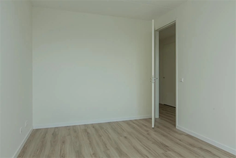Image 4 of 12