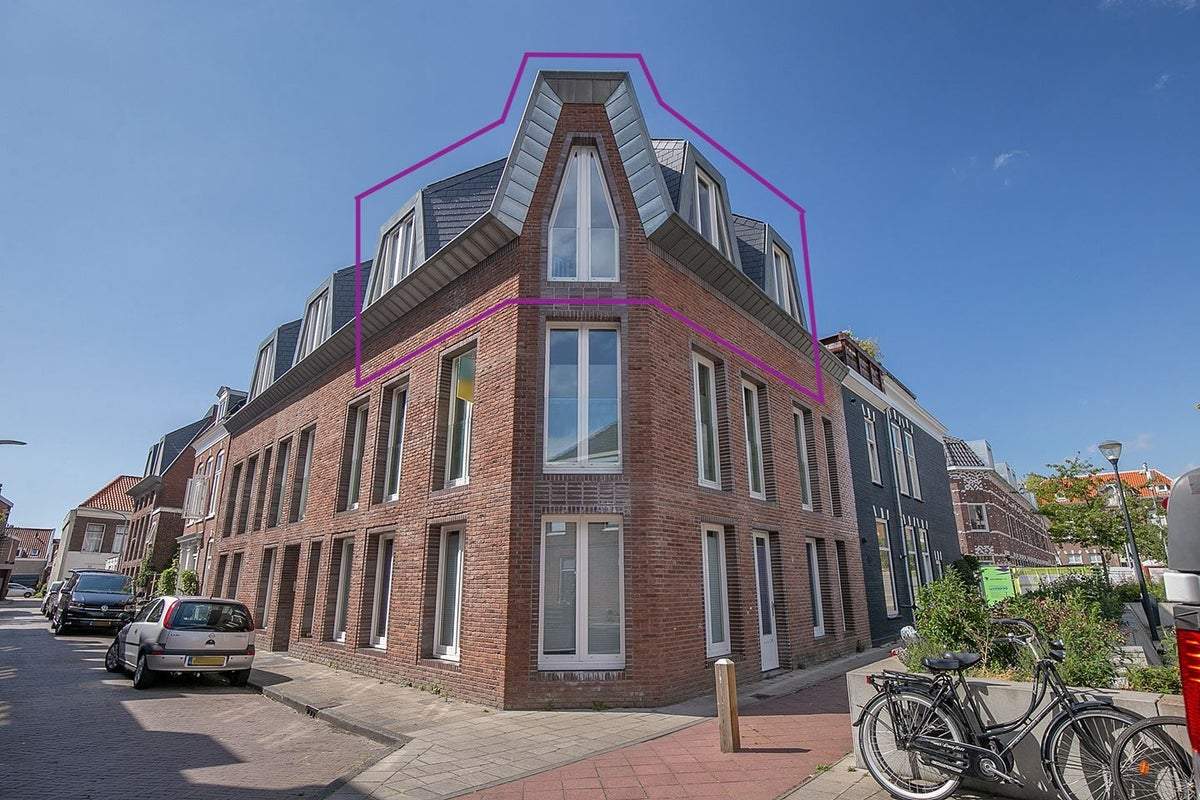 Afbeelding 1 van 25