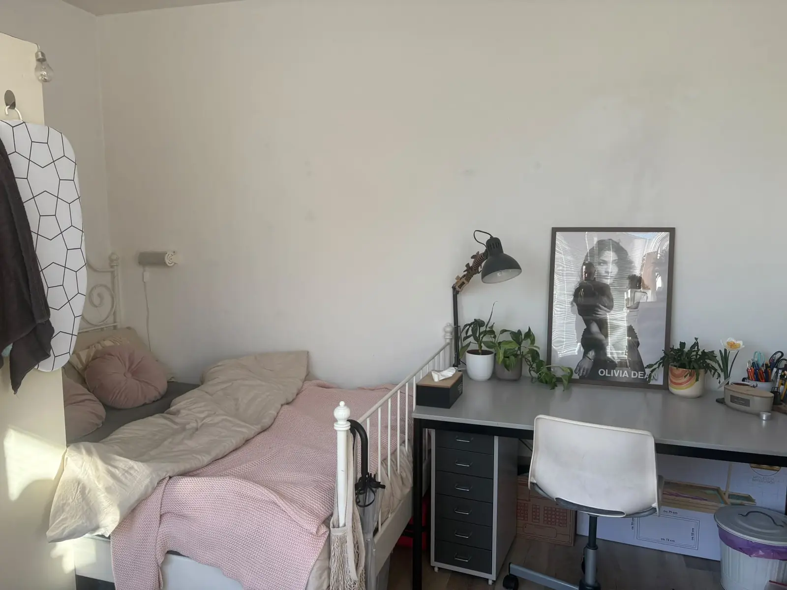 Image 4 of 10