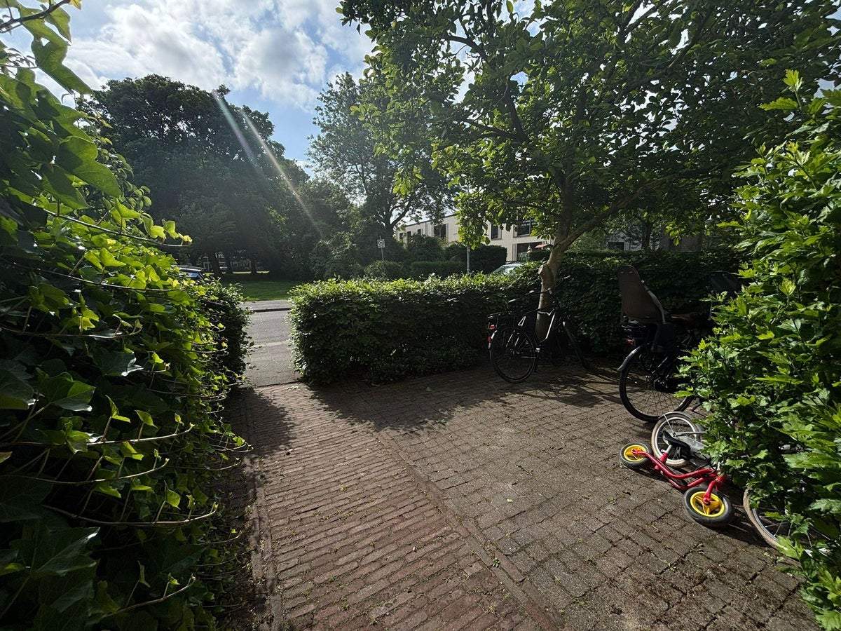 Image 1 of 21