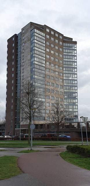 Afbeelding 1 van 14