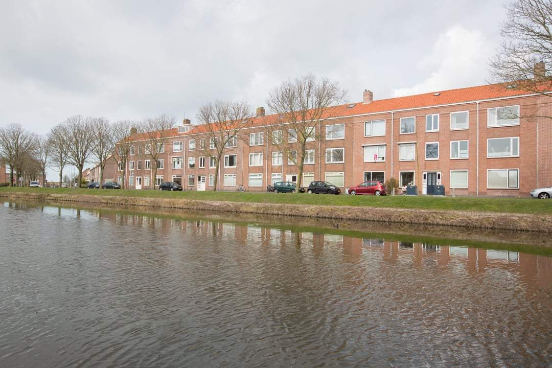 Afbeelding 1 van 12