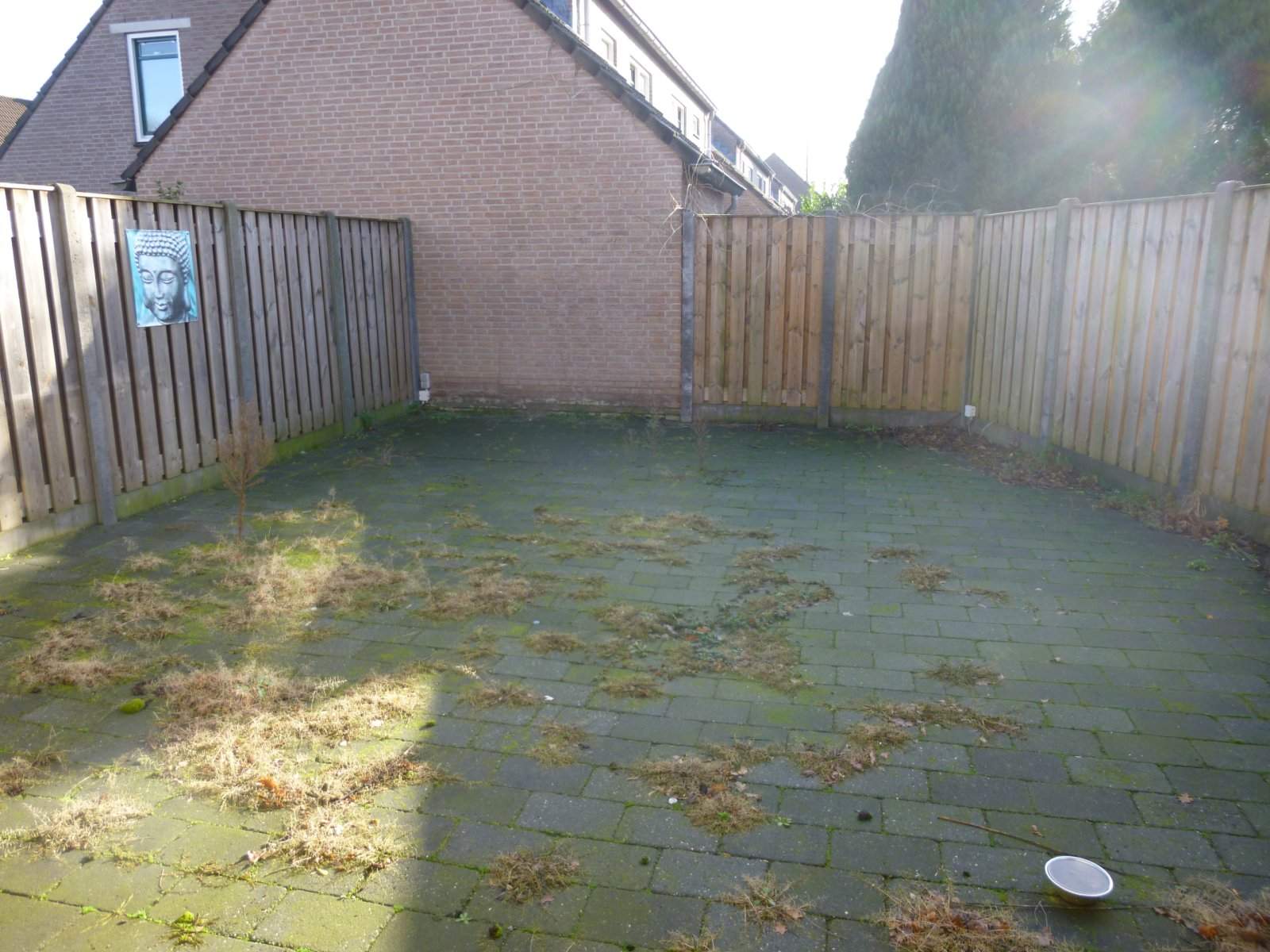Bild 3 von 3