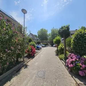 Image 2 of 4