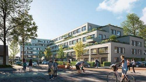 Bild 1 von 15