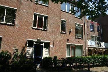 Afbeelding 1 van 12