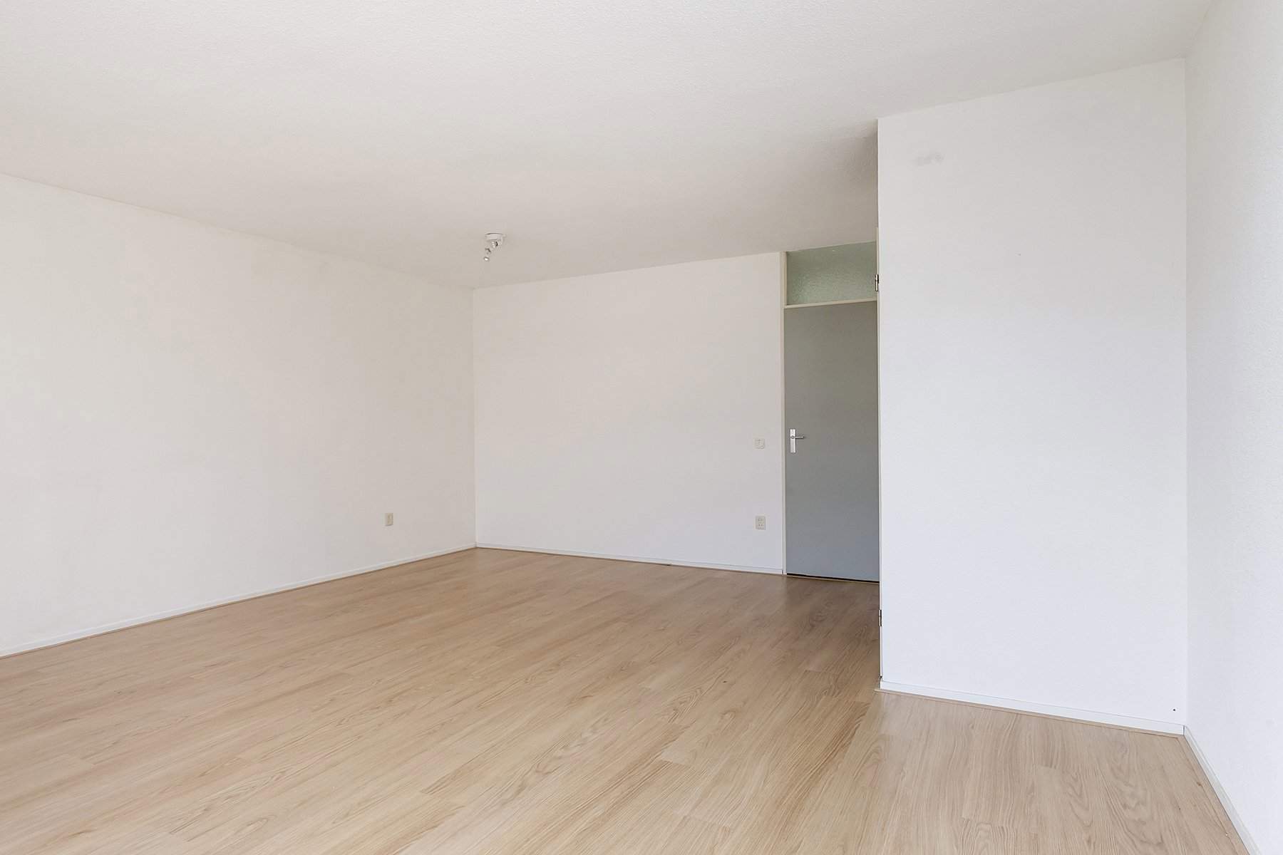 Image 4 of 19
