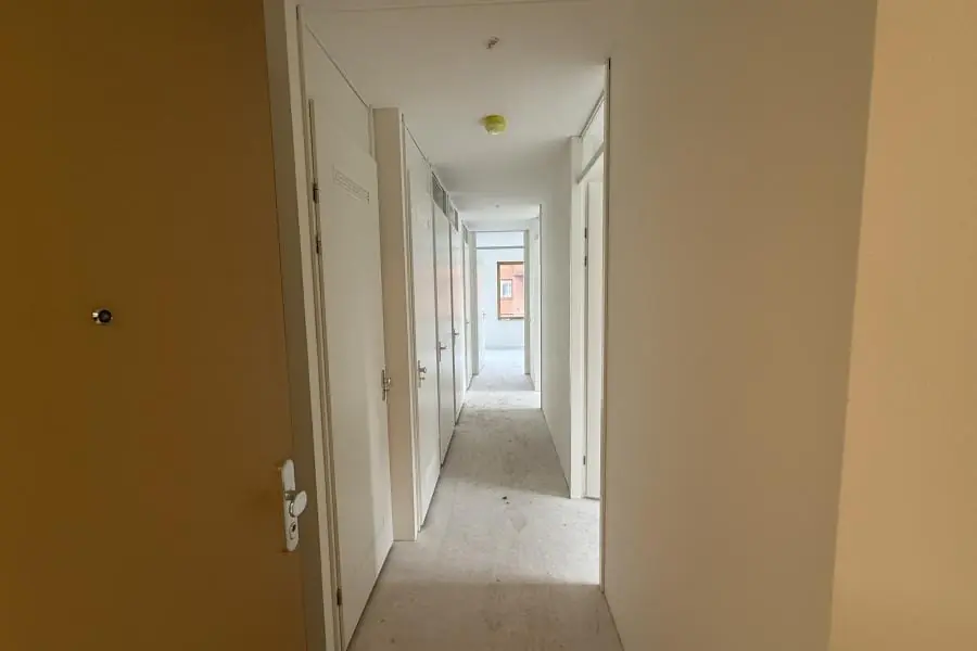 Image 5 of 20