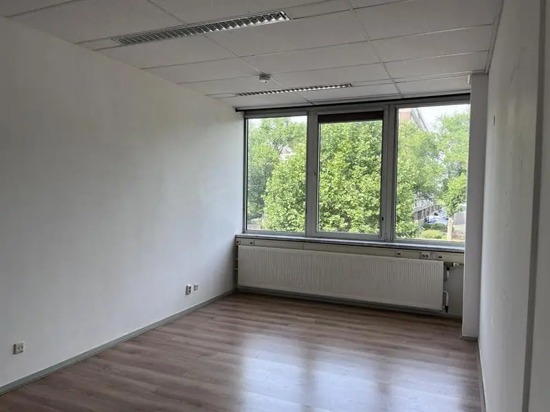 Image 7 of 12