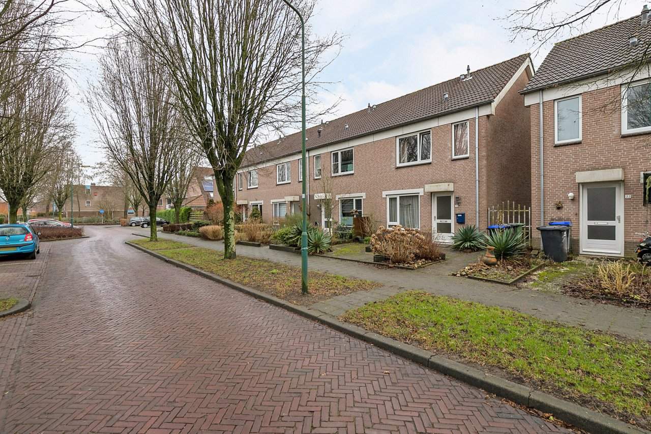 Afbeelding 1 van 13