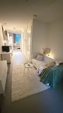 Gemeubileerde studio Czaar Peterstraat, Amsterdam - Te huur