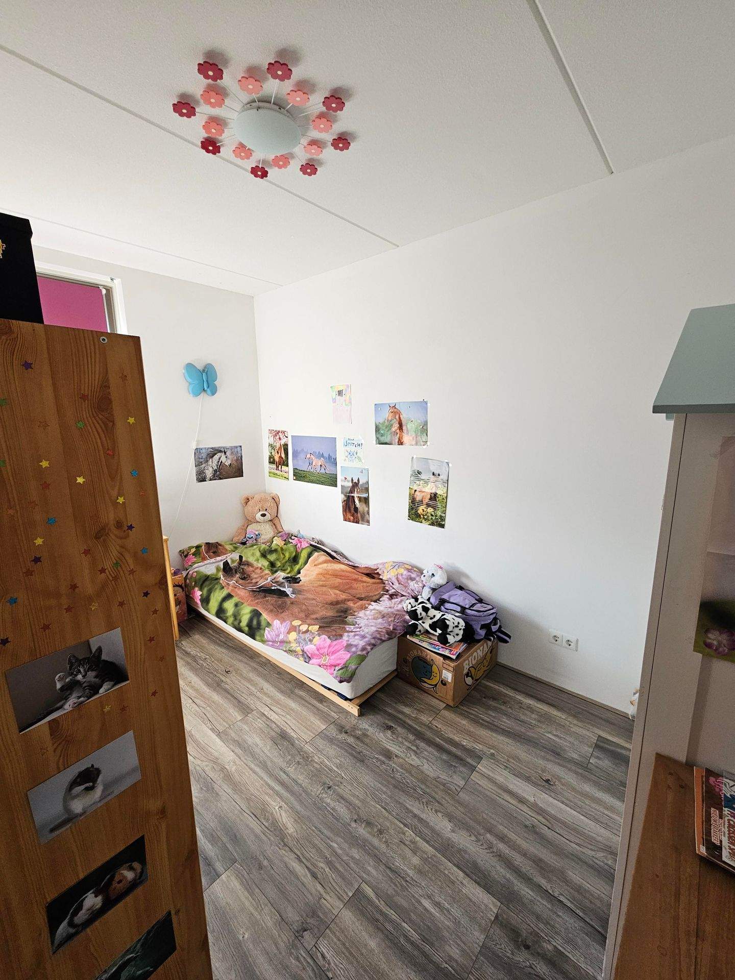 Bild 7 von 17