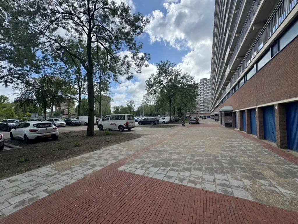 Afbeelding 21 van 21