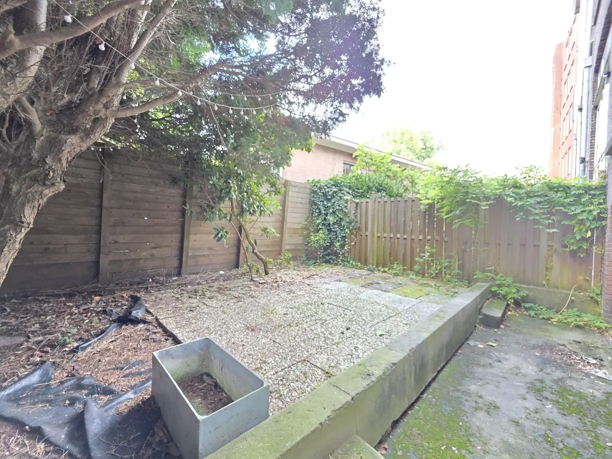 Image 40 of 41