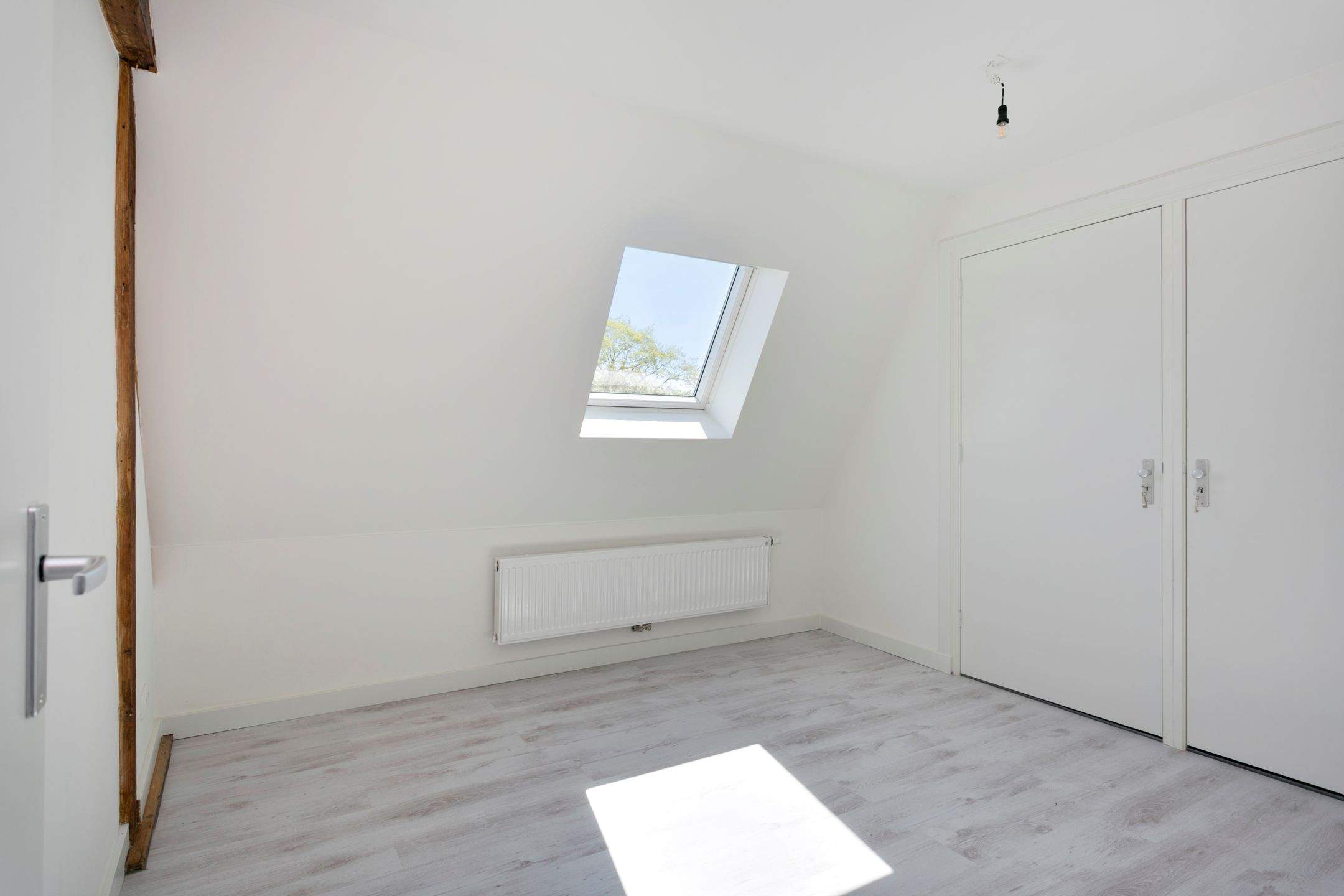 Bild 12 von 20