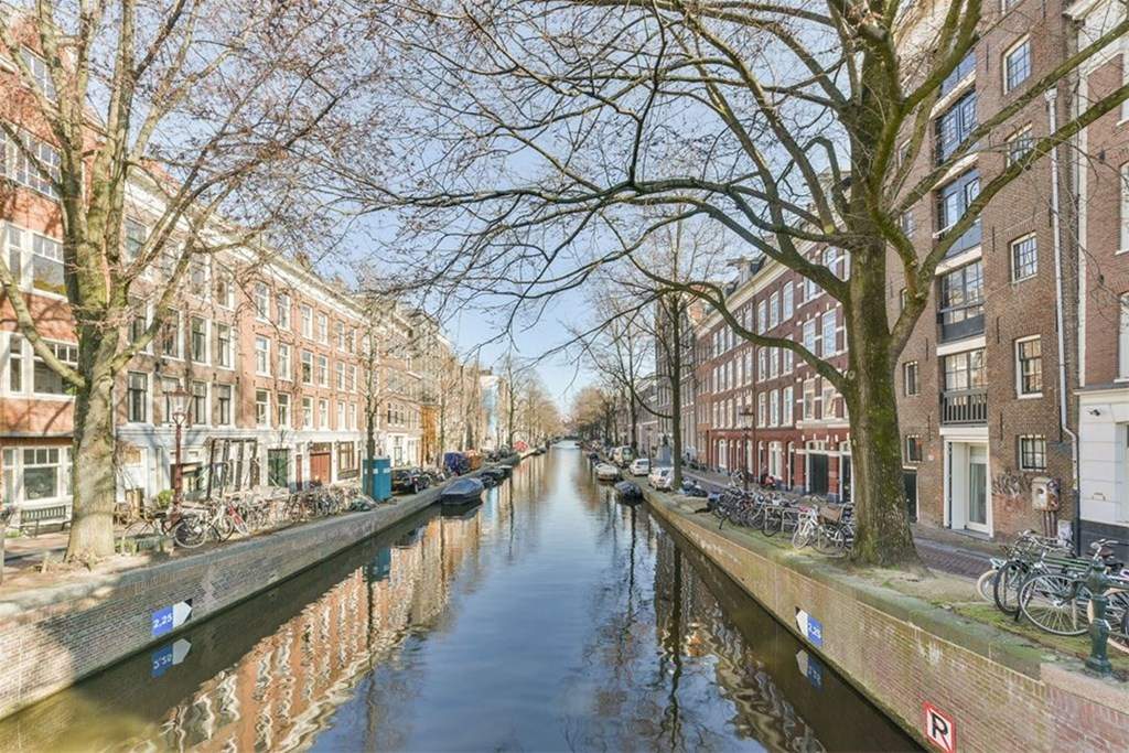 Afbeelding 1 van 40