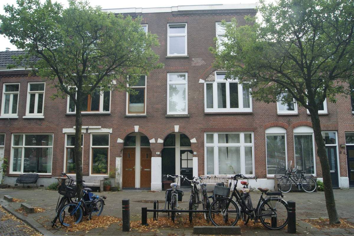 Afbeelding 1 van 11