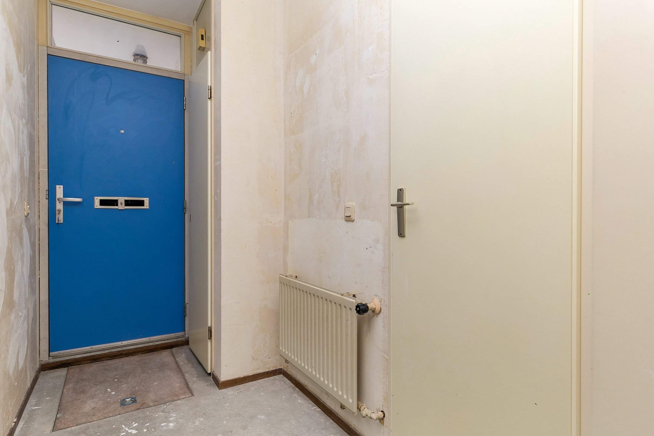 Bild 1 von 19