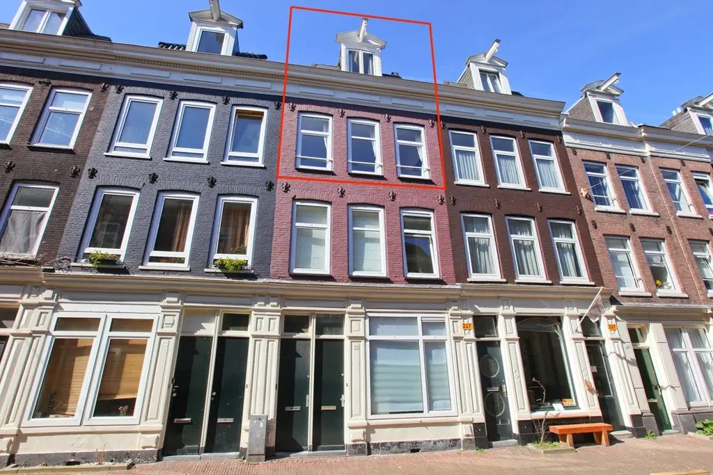 Afbeelding 1 van 30
