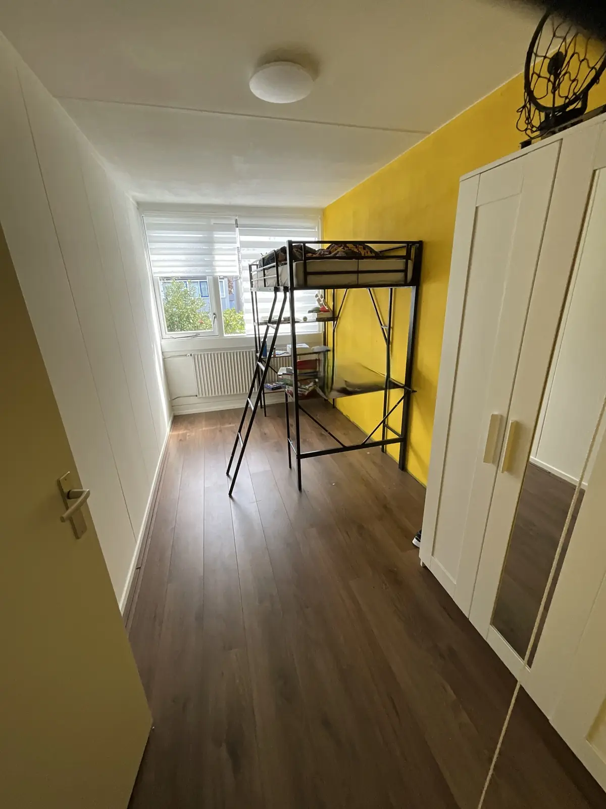 Bild 6 von 8