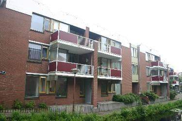 Afbeelding 1 van 8
