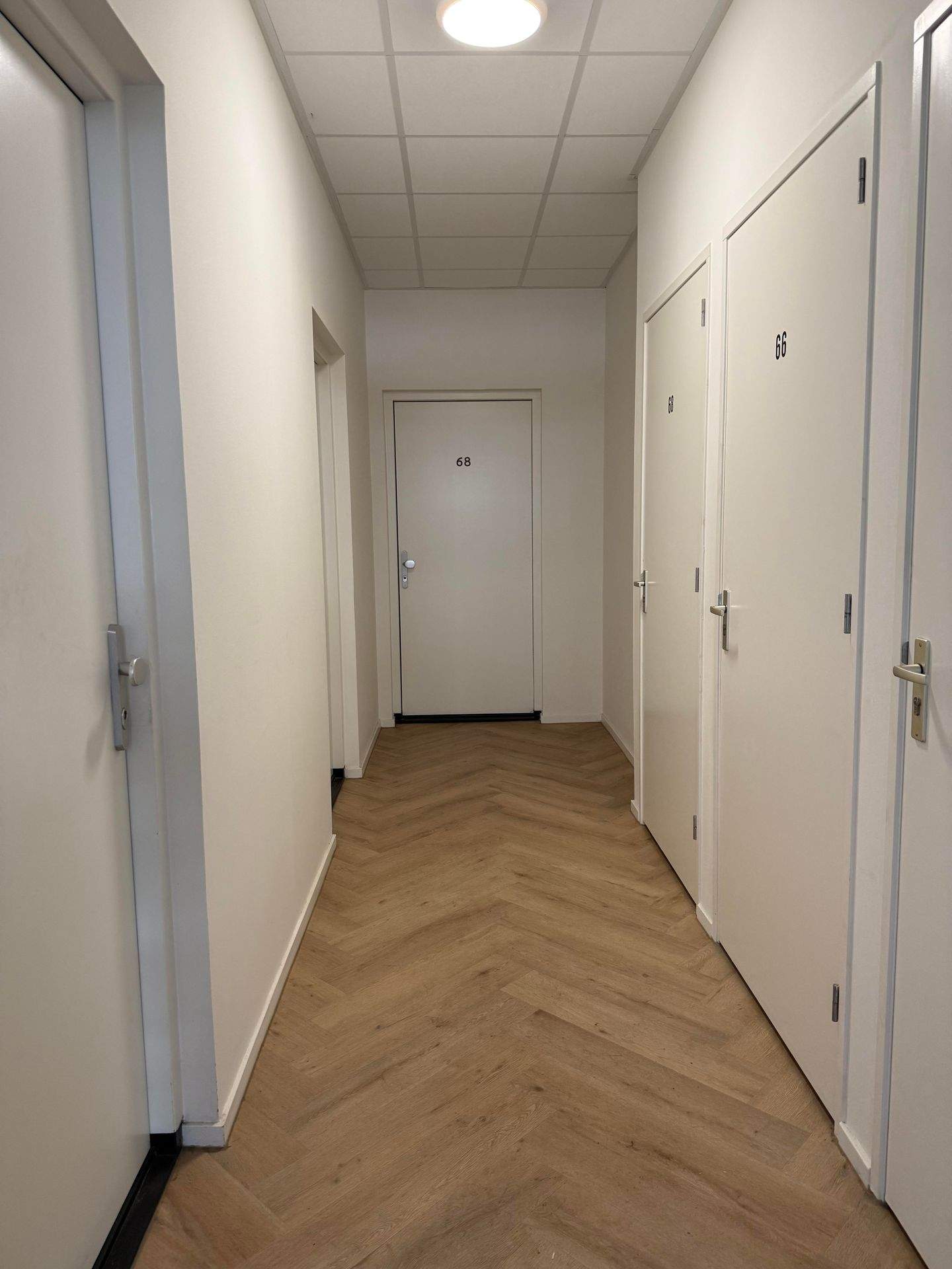 Bild 2 von 12