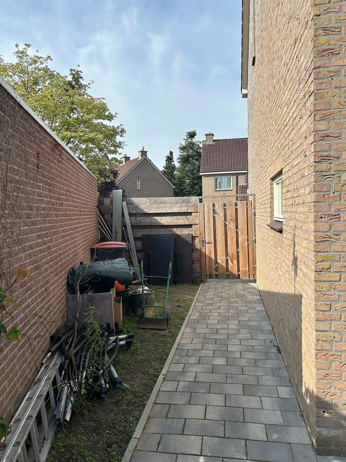 Afbeelding 9 van 10